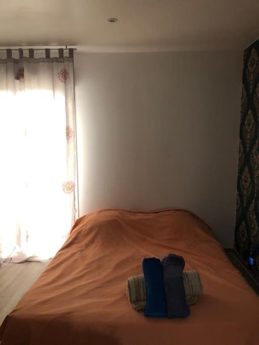 Logement Entier Entree Autonome Ch,Sdd,Cs Privatives Aussonne 外观 照片