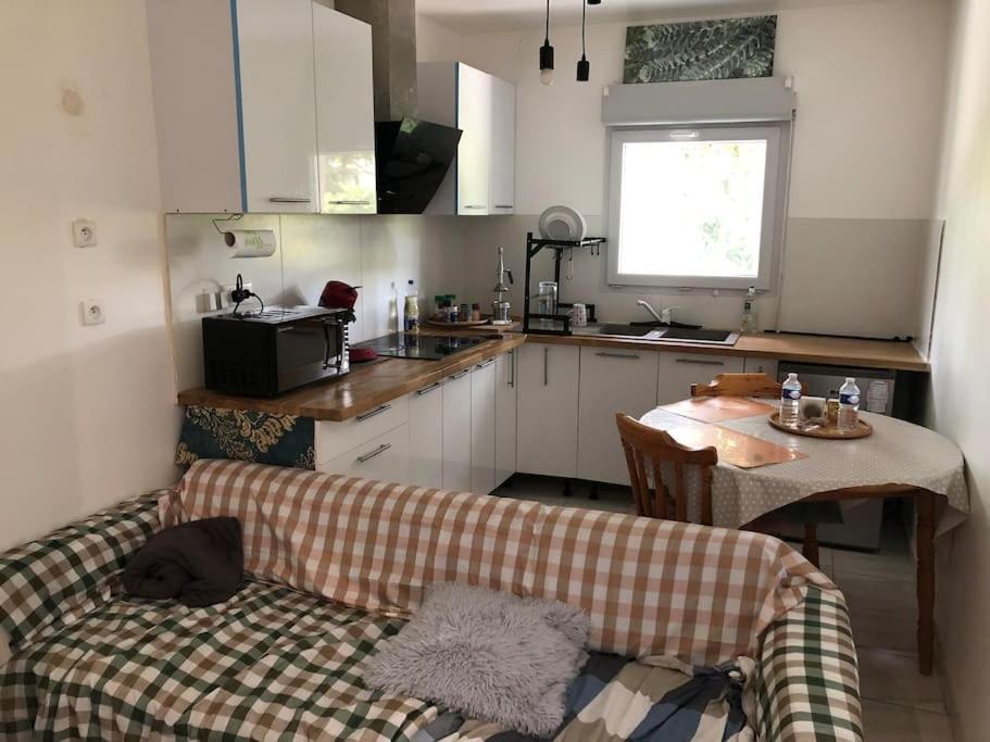 Logement Entier Entree Autonome Ch,Sdd,Cs Privatives Aussonne 外观 照片